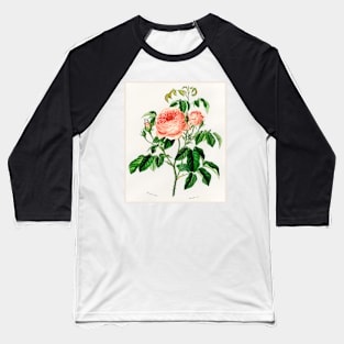 Cabbage Rose Baseball T-Shirt